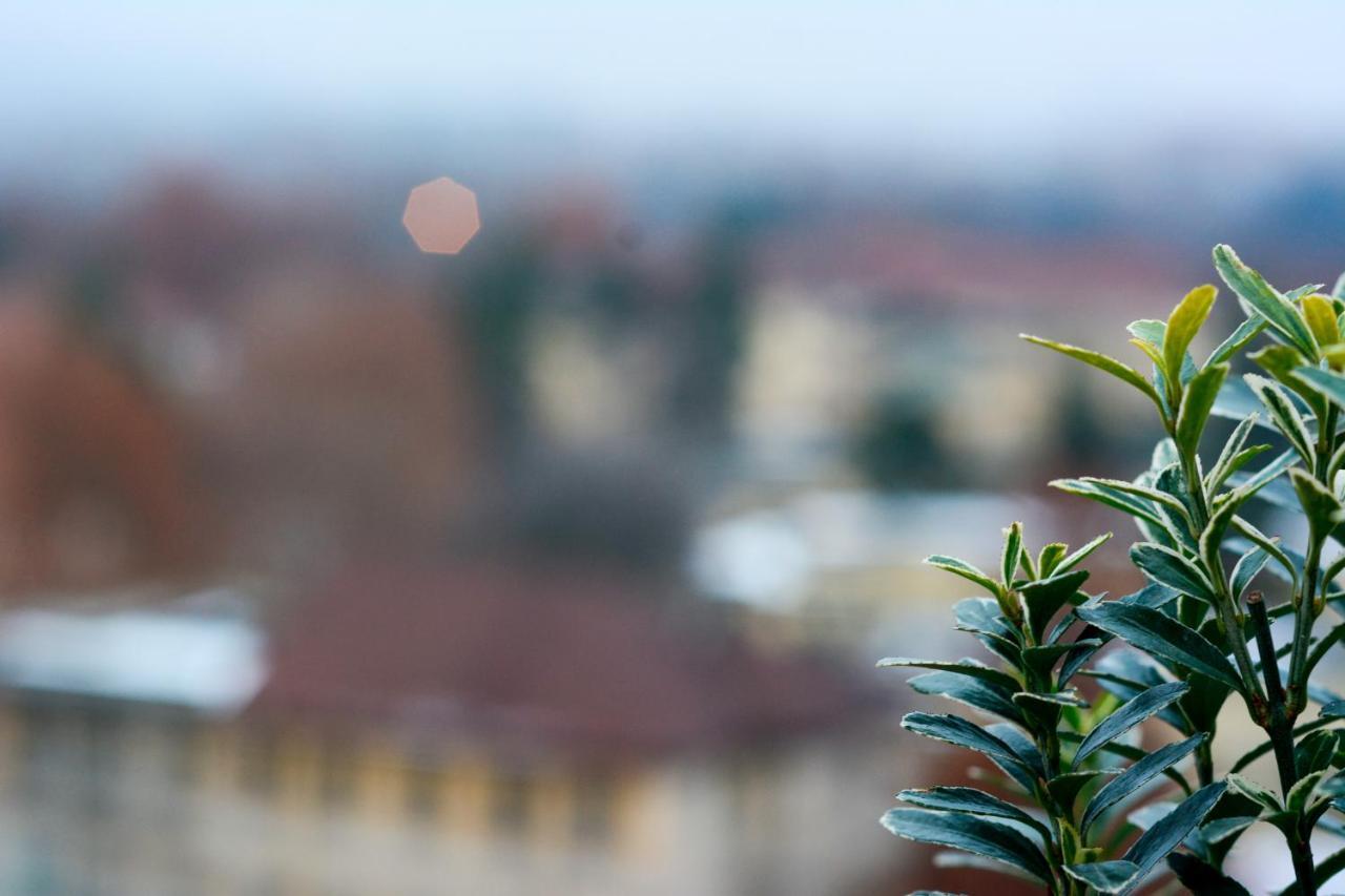 Sunny Side I Turin Suite Exteriér fotografie